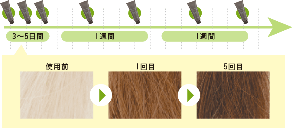 カラートリートメントの染まり方